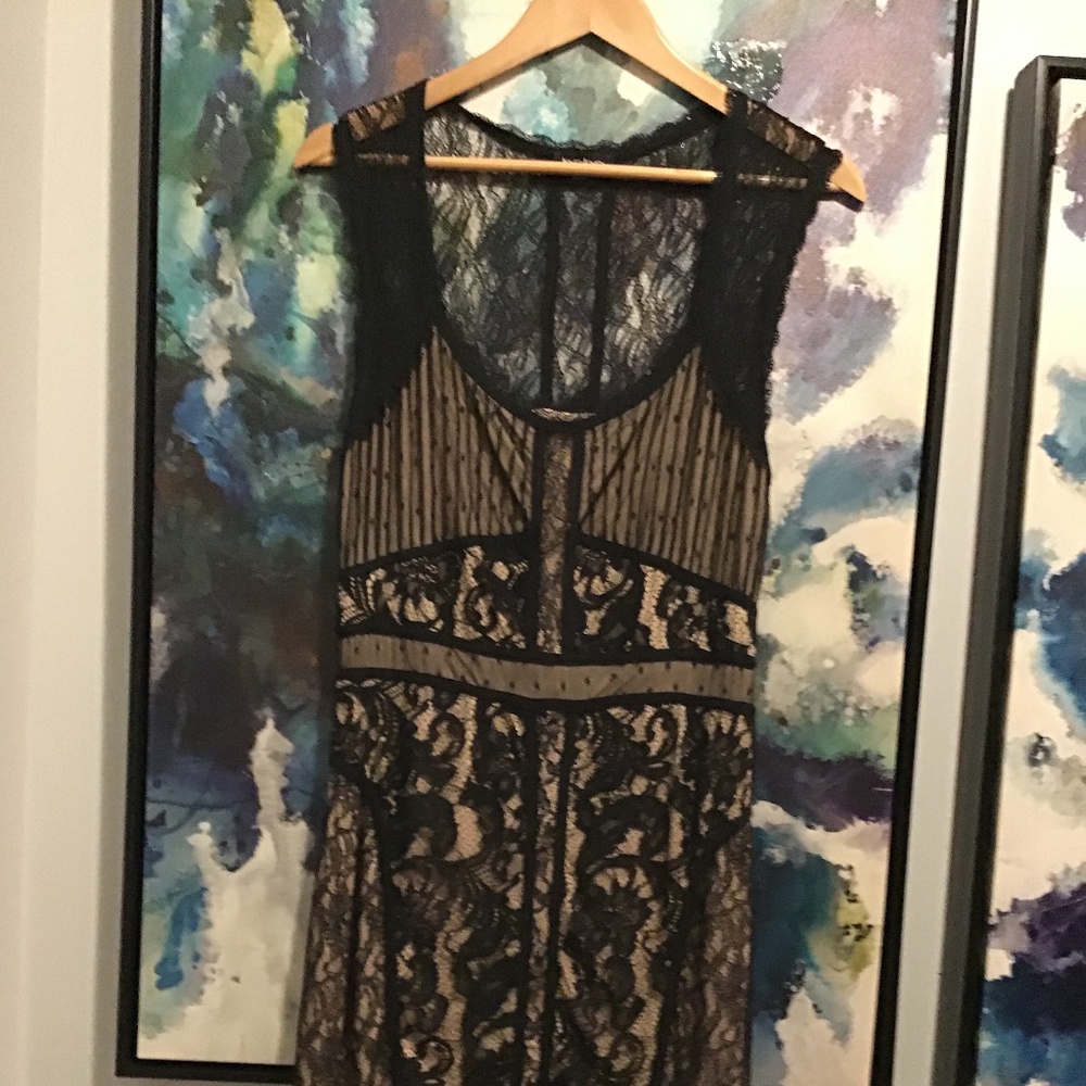 Lace Fitted Dress